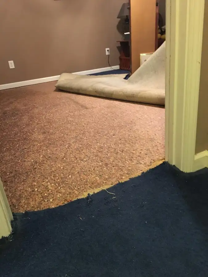 Carpet pad removal revealing water damage during Water Mitigation Services in Douglas