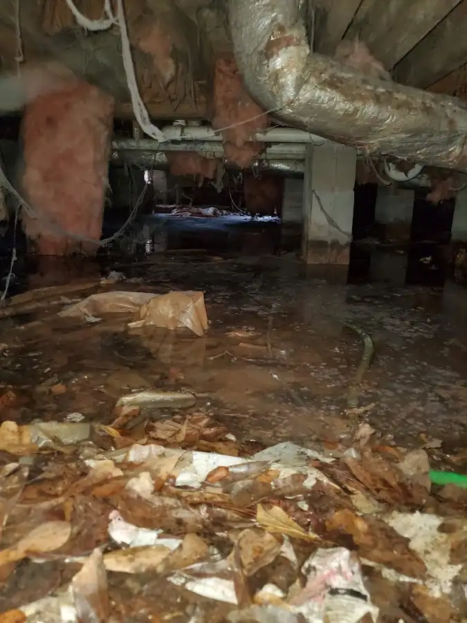 Crawl space flood assessment for Commercial Water Damage Restoration in Douglas